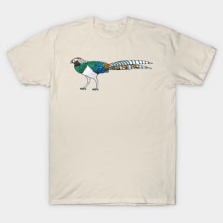 Lady amherst's pheasant bird cartoon illustration T-Shirt